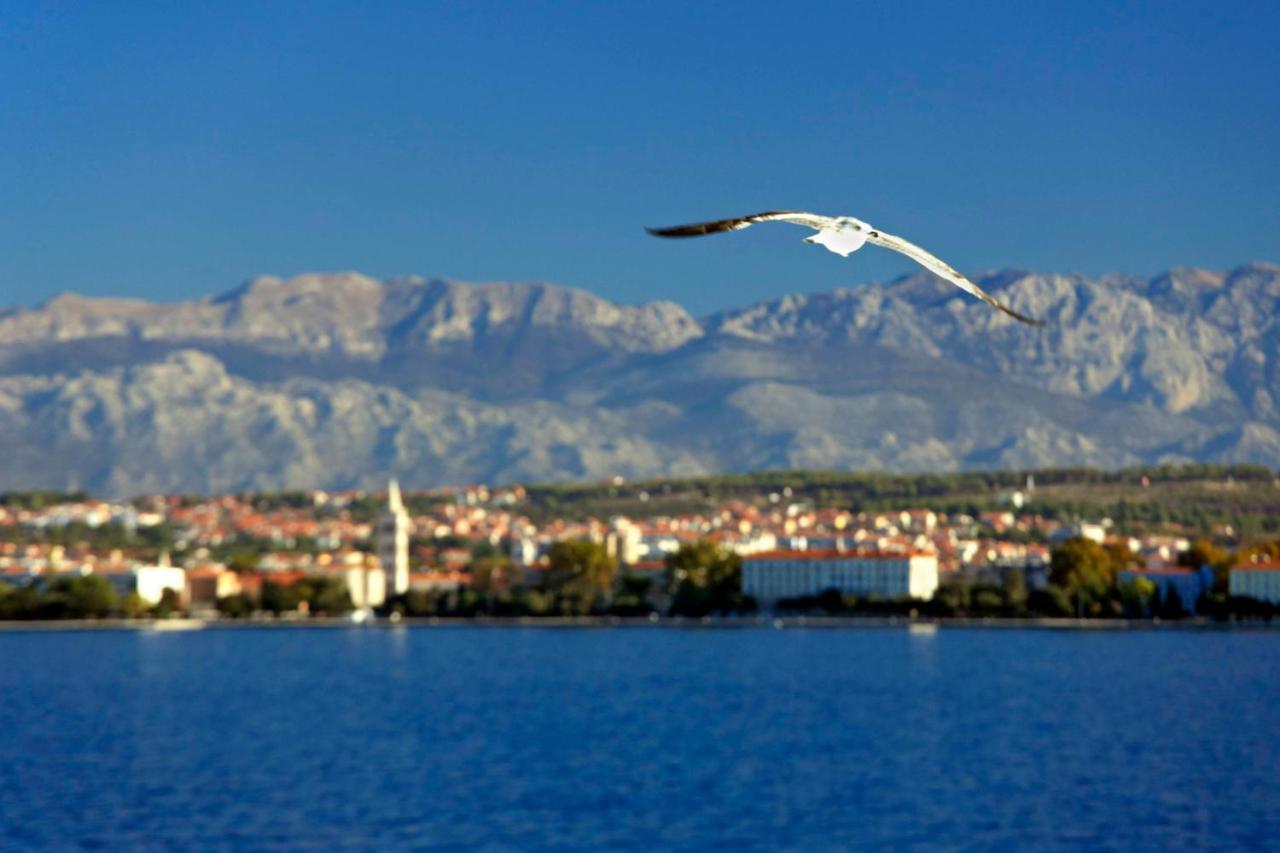 Kuki apartment with balcony Zadar Bagian luar foto